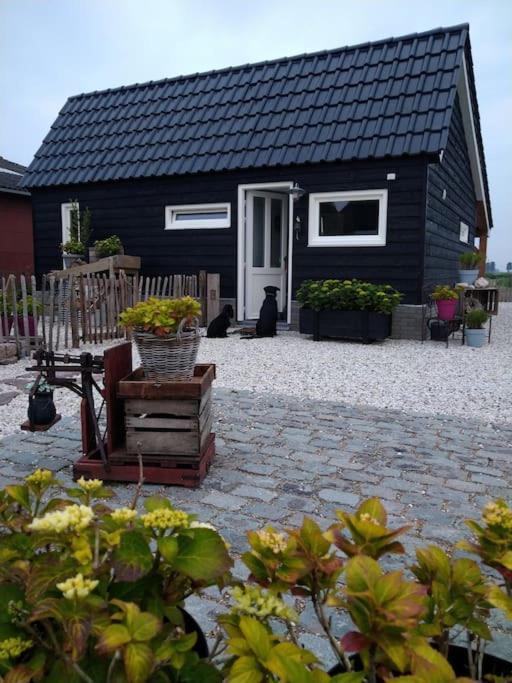 Wellness Chalet Met Jacuzzi, Sauna, Omheinde Tuin, Sint-Annaland Eksteriør bilde