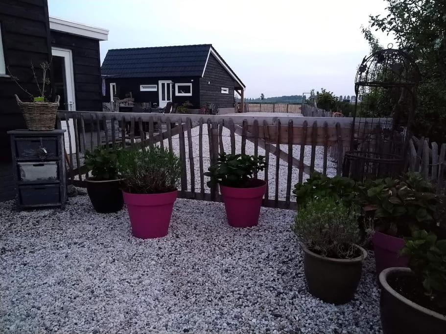 Wellness Chalet Met Jacuzzi, Sauna, Omheinde Tuin, Sint-Annaland Eksteriør bilde