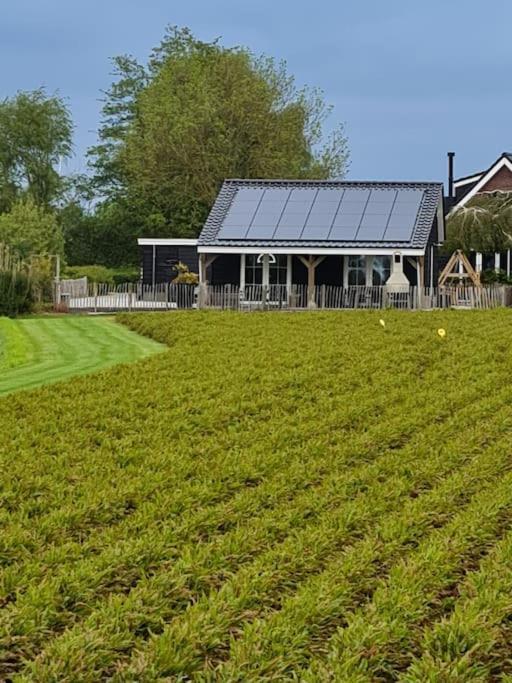 Wellness Chalet Met Jacuzzi, Sauna, Omheinde Tuin, Sint-Annaland Eksteriør bilde