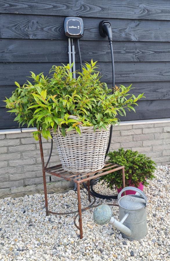Wellness Chalet Met Jacuzzi, Sauna, Omheinde Tuin, Sint-Annaland Eksteriør bilde