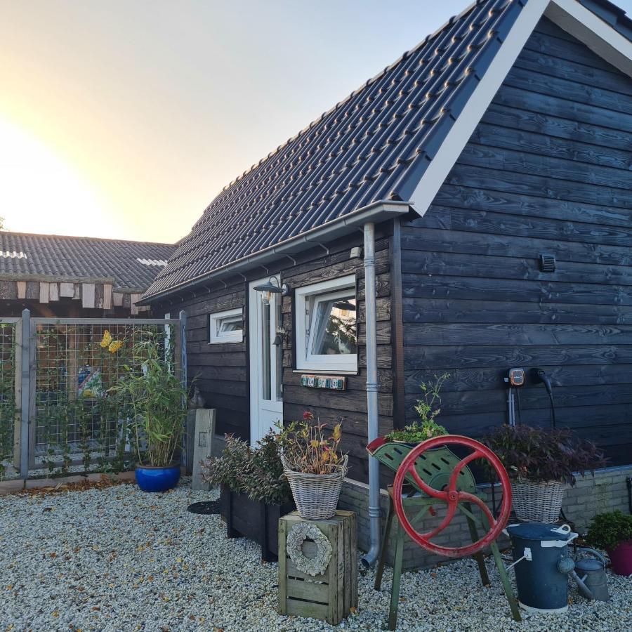 Wellness Chalet Met Jacuzzi, Sauna, Omheinde Tuin, Sint-Annaland Eksteriør bilde