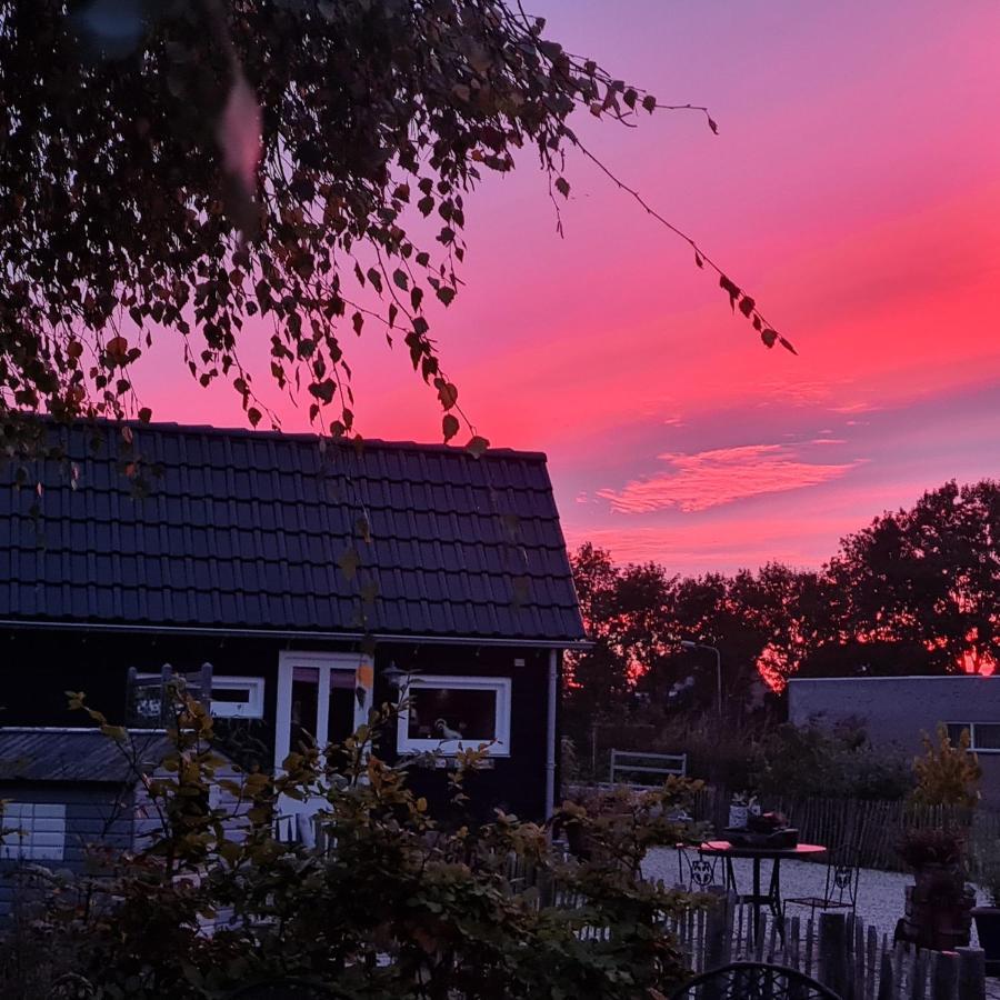 Wellness Chalet Met Jacuzzi, Sauna, Omheinde Tuin, Sint-Annaland Eksteriør bilde